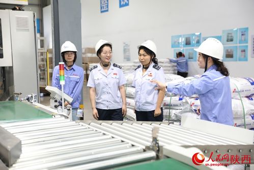 税务管家助力企业夺冠 从财务咨询到财务领先之道